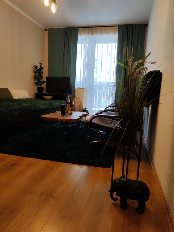 Ski Apartman Sajmon So Saunou Makov Exterior photo